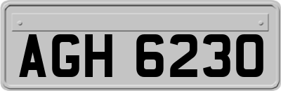 AGH6230