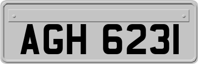AGH6231