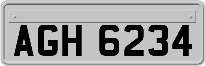 AGH6234