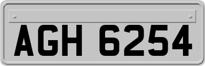 AGH6254