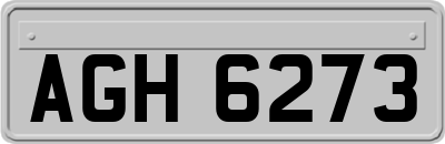 AGH6273