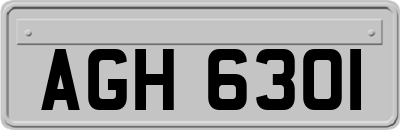 AGH6301