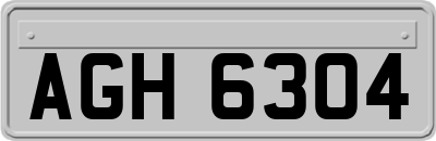 AGH6304