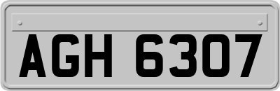 AGH6307