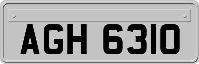 AGH6310