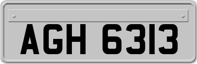 AGH6313