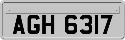 AGH6317