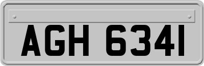 AGH6341