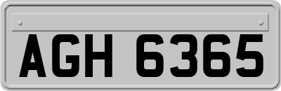 AGH6365