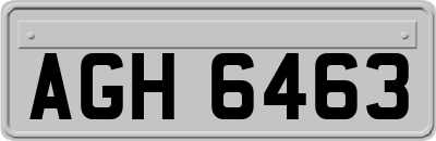 AGH6463