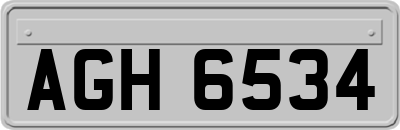 AGH6534