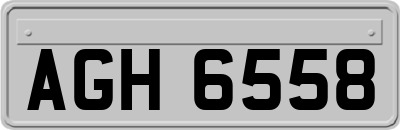 AGH6558