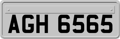 AGH6565