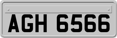 AGH6566