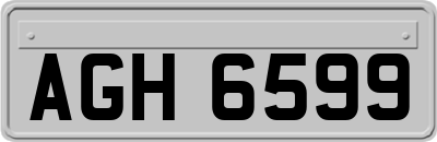 AGH6599