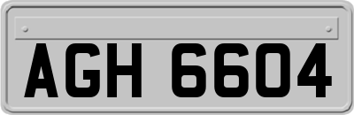 AGH6604