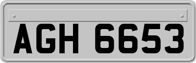 AGH6653