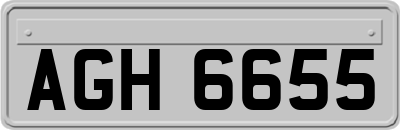 AGH6655