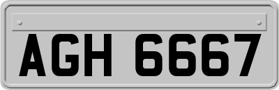 AGH6667