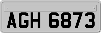AGH6873