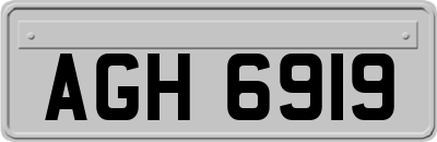 AGH6919