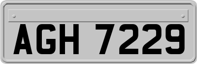 AGH7229
