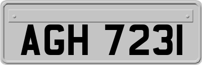 AGH7231