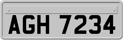 AGH7234