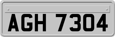 AGH7304