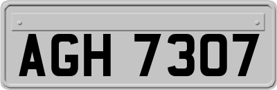 AGH7307