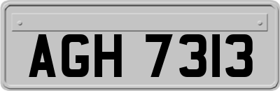 AGH7313