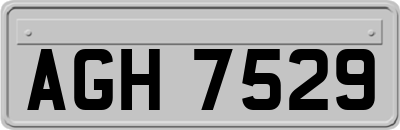 AGH7529