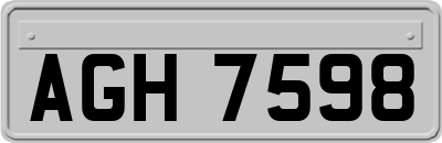 AGH7598
