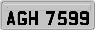AGH7599