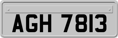 AGH7813
