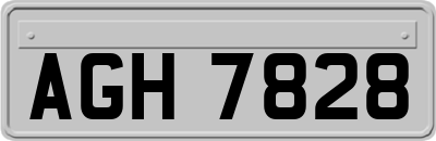 AGH7828