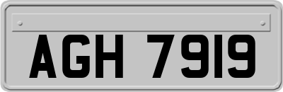 AGH7919