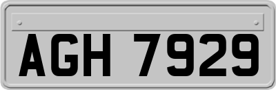AGH7929
