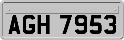 AGH7953