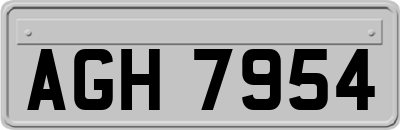AGH7954