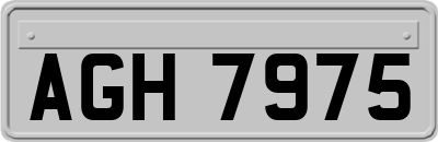 AGH7975