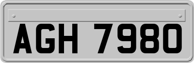 AGH7980