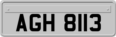 AGH8113