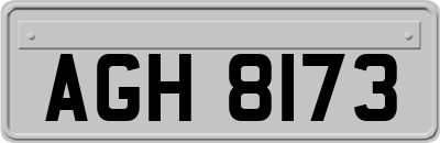 AGH8173