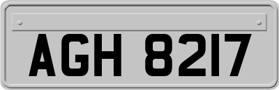 AGH8217