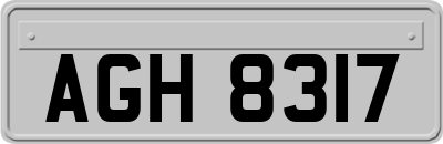 AGH8317