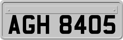 AGH8405