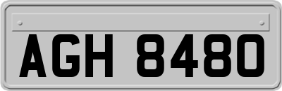 AGH8480