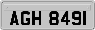 AGH8491