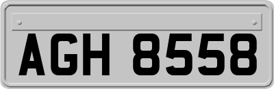 AGH8558